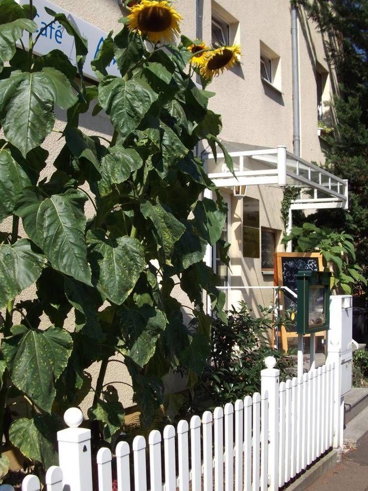 Pension & Cafe Am Kraehenberg Halle  Zewnętrze zdjęcie